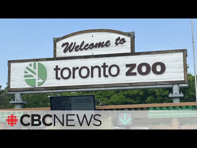 Toronto Zoo hit by ransomware attack
