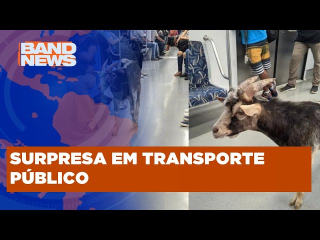 Passageiros da linha 7-Rubi flagram bode dentro de trem | BandNews TV