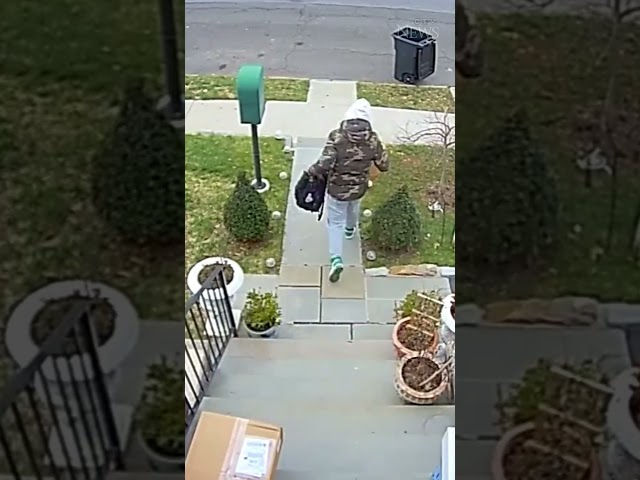 Heroic moment: Passerby takes down fleeing porch pirate #shorts #shortsviral