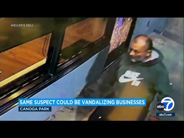 Same suspect could be vandalizing businesses in Canoga Park area