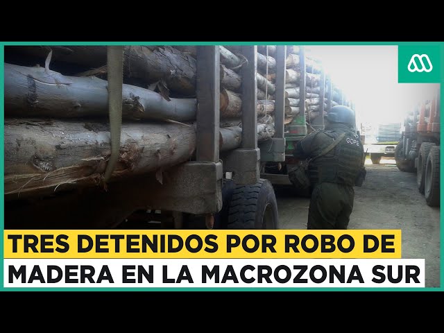 Robo de madera en la Macrozona Sur: PDI detiene a tres integrantes de organización mapuche