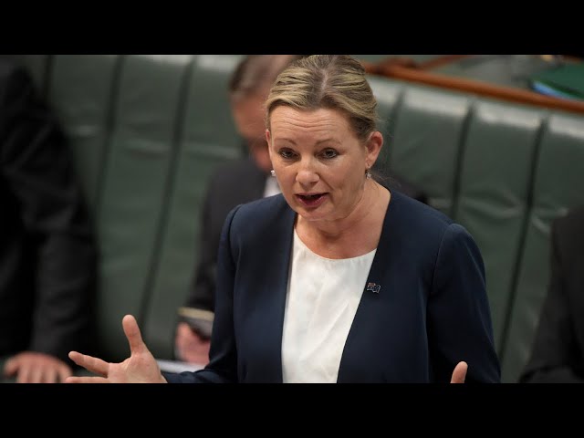 'I’ll tell you one thing Labor could have done': Sussan Ley unleashes on government