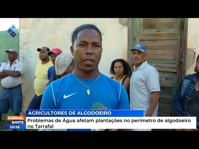 Problemas de Água afetam plantações no perímetro de algodoeiro no Tarrafal