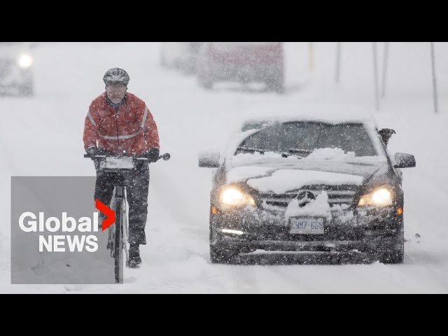 Winter storm hits Ontario: Snow and rain causes messy GTA driving conditions