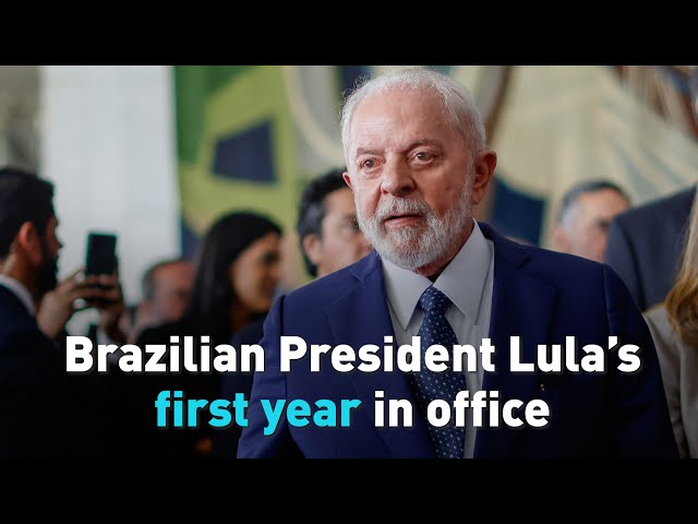 Brazilian President Lula’s first year in office