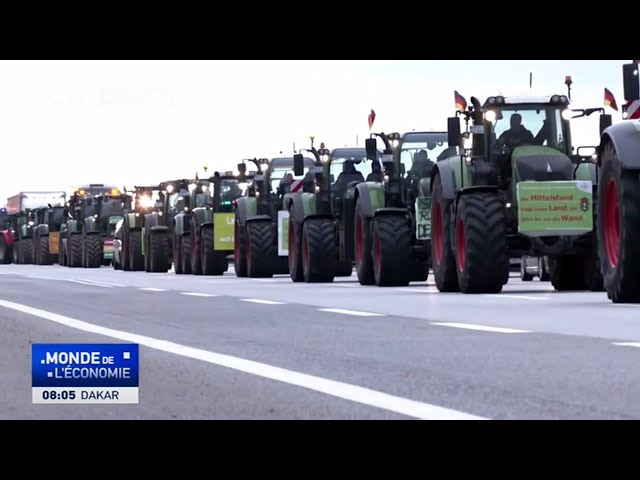 Allemagne : les agriculteurs protestent contre les projets de suppression des subventions
