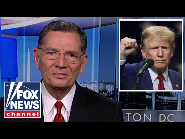 Sen. John Barrasso endorses Donald Trump: 'We need him back in the White House'