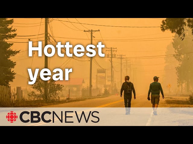 What the hottest year on record means for our future