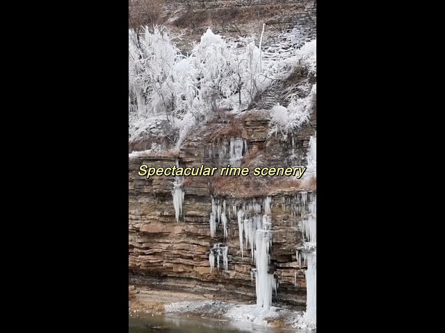 Spectacular rime scenery in China's Shandong