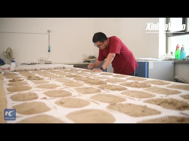 Uygur ecologist grapples with sand in "Sea of Death"