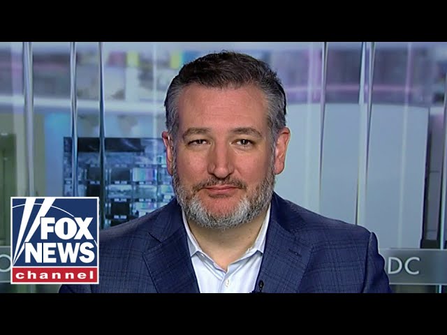 Ted Cruz: I’m Chuck Schumer’s number one target