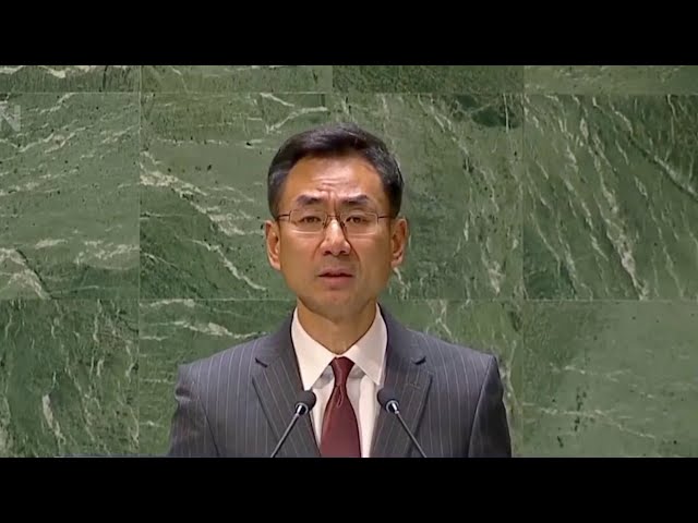 China urges Israel to cease fighting in Gaza at UN meeting