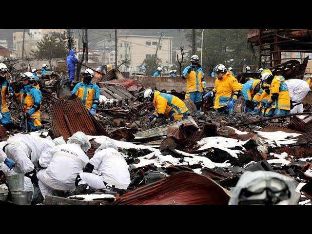 Séisme au Japon : 203 décès confirmés et 68 personnes toujours portées disparues