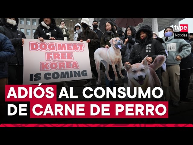 Corea del Sur: Parlamento prohíbe el comercio de carne de perro