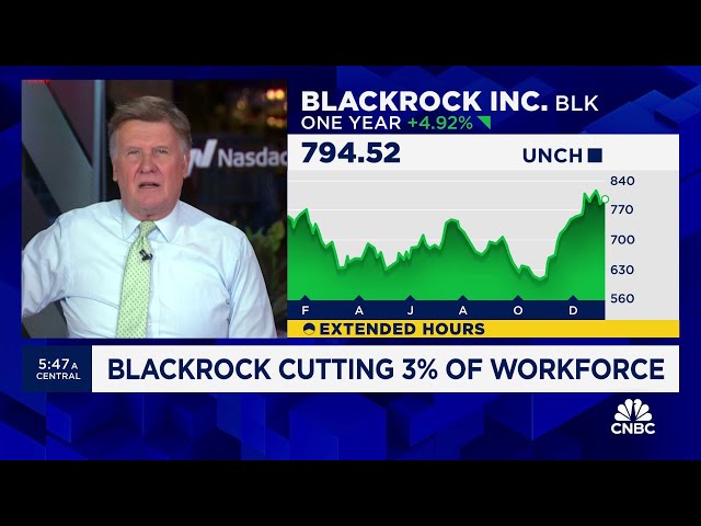 BlackRock to lay off 3% of workforce