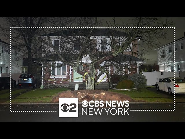 Strong winds topple tree onto front of home on Staten Island