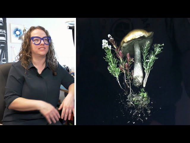 Alta. woman's visual artwork featured in National Geographic