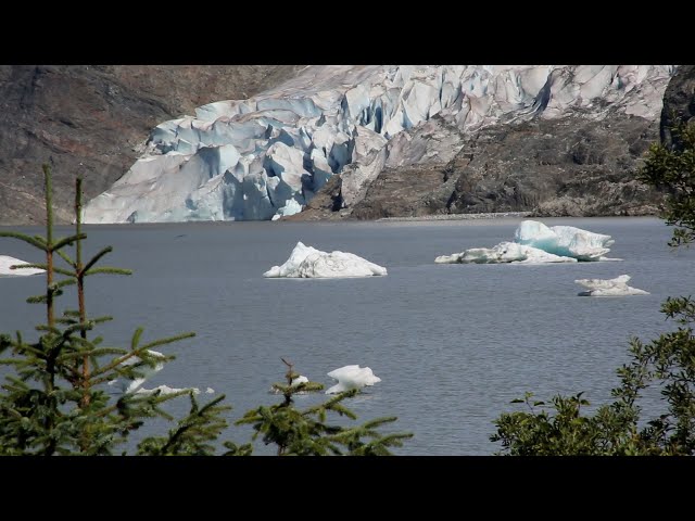 Accelerated Melting of Mendenhall Glacier in Alaska Signals Alarming Climate Change