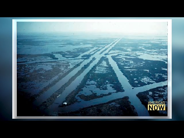 Vanishing Wetlands: The Impact of Climate Change on Southern Louisiana's Ecosystem