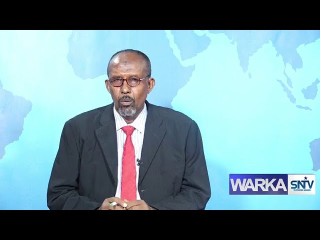 WARKA HABEEN EE SNTV 10.01.2024