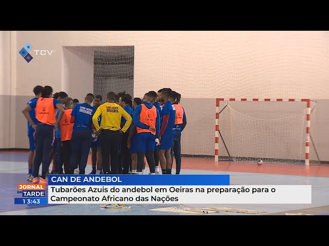 Tubarões Azuis do andebol em Oeiras na preparação para o Campeonato Africano das Nações