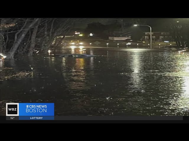 Driver clings to tree after escaping flooded car in Norwood