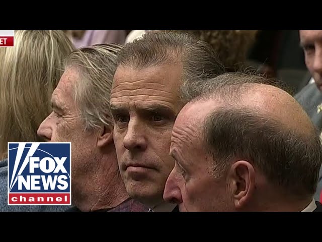 Hearing ERUPTS over Hunter Biden's surprise appearance