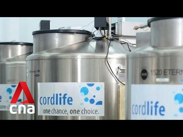 MOH to review regulatory requirements for cord blood banking after Cordlife lapses