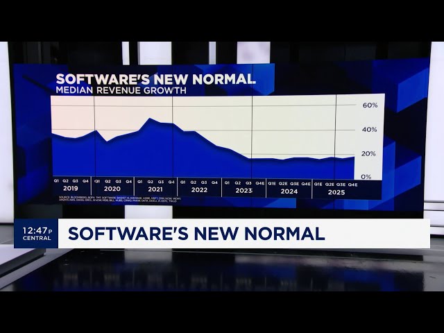 Software growth slump may be the new normal: Here's what you need to know