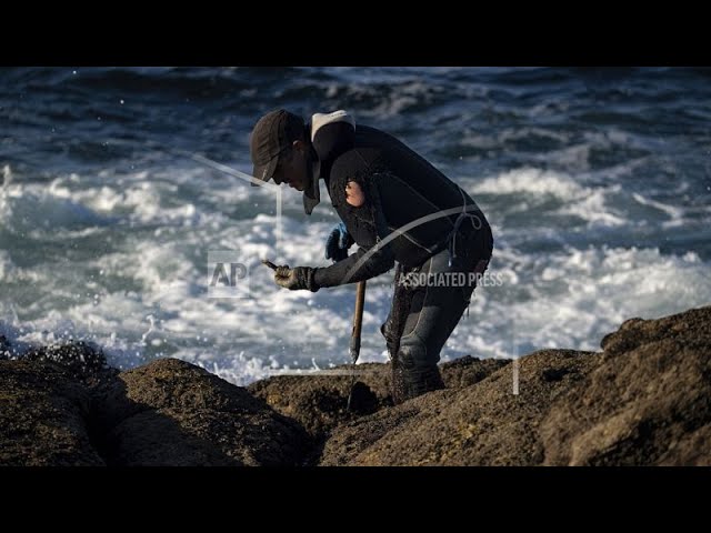 Angespültes Plastik an Spaniens Atlantikküste: Umweltschutzgruppen schlagen Alarm