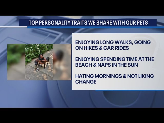 Top Personality Traits We Share With Out Pets | The Noon