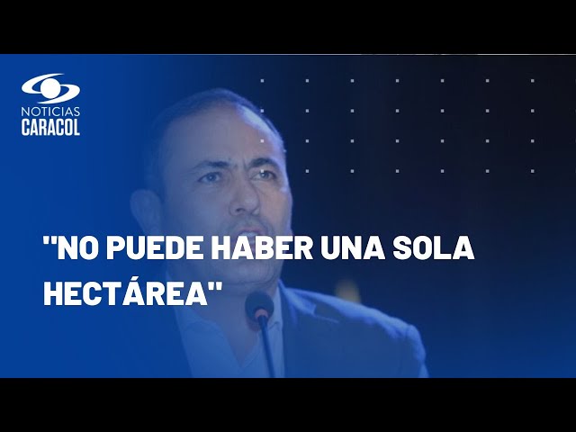 Gobernador de Santander dijo que no habrá recursos para municipios que registran siembra de coca