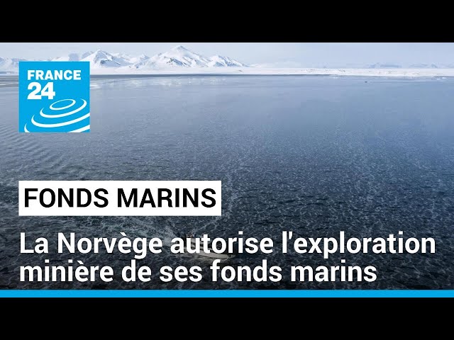 La Norvège autorise l'exploration minière de ses fonds marins • FRANCE 24