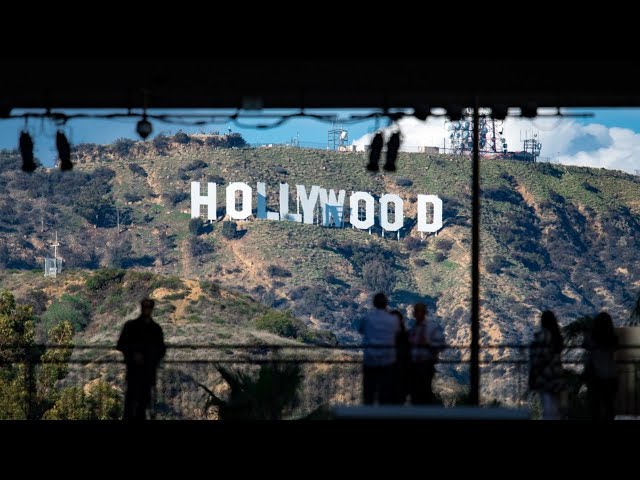 ‘Predators and paedophiles’ crawling around Hollywood and DC: Tomi Lahren