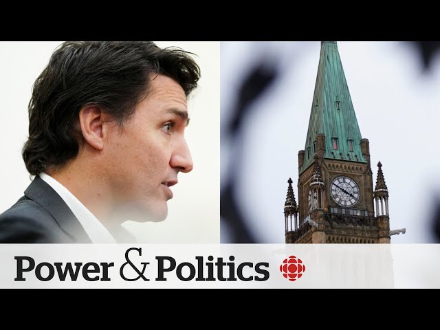 10 Liberal MPs say they won't run in the next election | Power & Politics