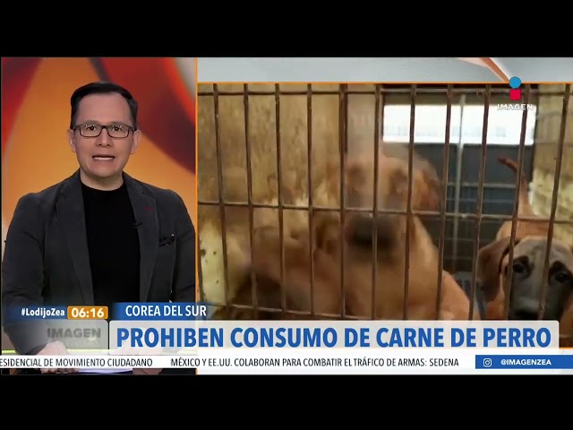 Prohíben el consumo de carne de perro en Corea del Sur