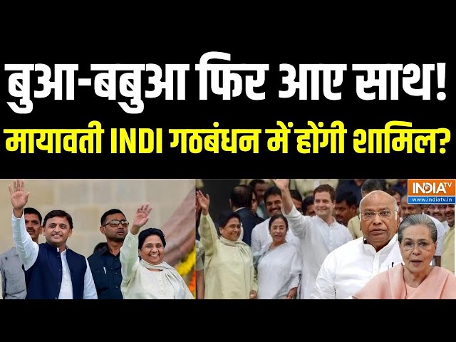 Mayawati Join India Alliance: Akhilesh-Mayawati एक साथ..India Alliance में आनेवाली है BSP? | Rahul