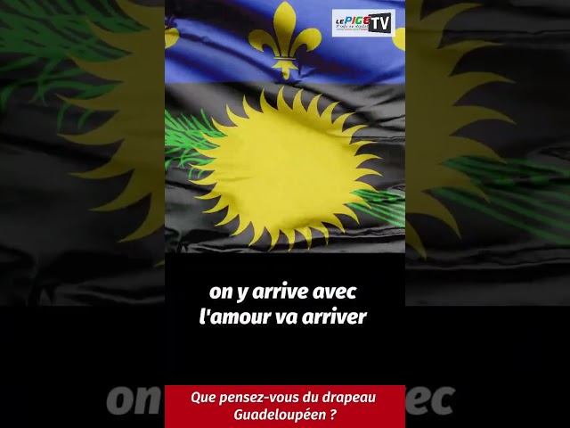 Que pensez-vous du drapeau Guadeloupéen ?