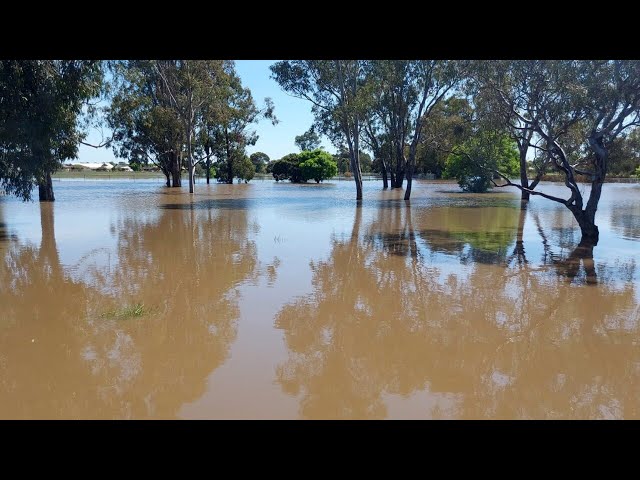 ‘More broad thinking’ required by govt to mitigate against Vic flooding: Nationals MP