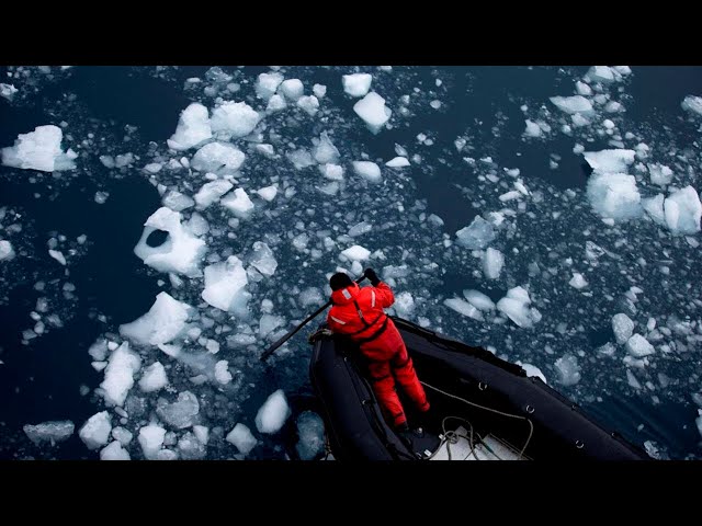 Researchers uncover the cause of sudden heatwave in the Antarctic