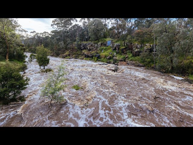 Victorian floods a ‘perverse impact’ of the Murray-Darling Basin Plan: Nationals MP