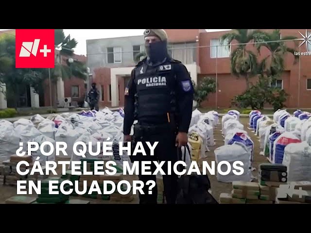 Violencia en Ecuador: Este es el nexo entre bandas ecuatorianas y criminales en México - En Punto