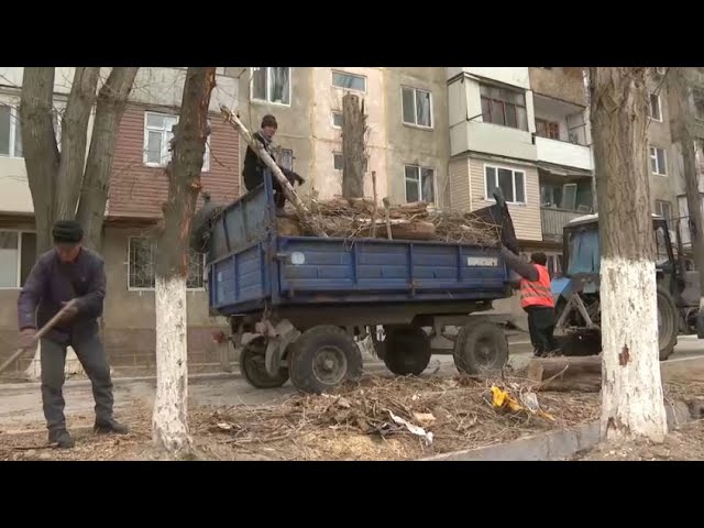 Девять человек пострадали в результате урагана в Таразе