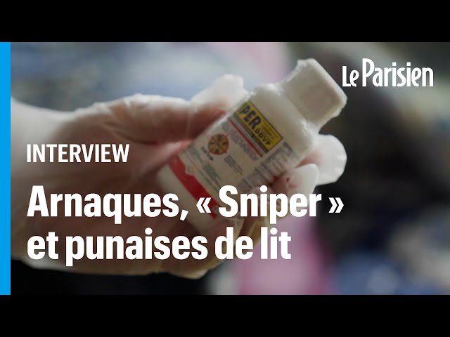 «L'enfer des punaises de lit» : le documentaire choc d'Envoyé spécial sur une psychose fra