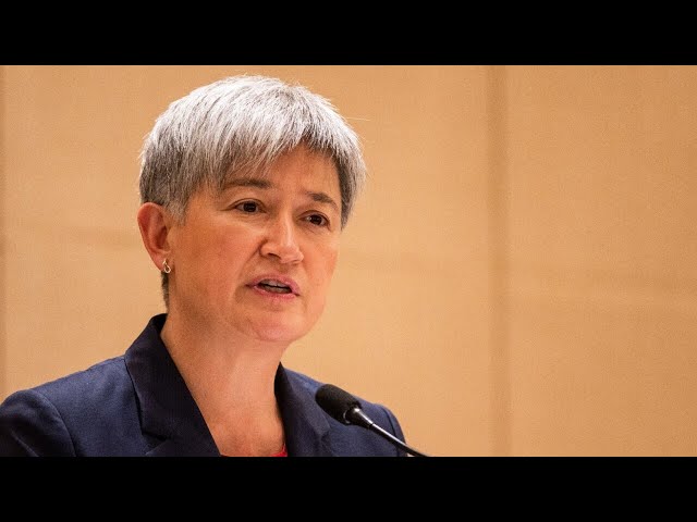 Calls for Penny Wong to visit Ukraine