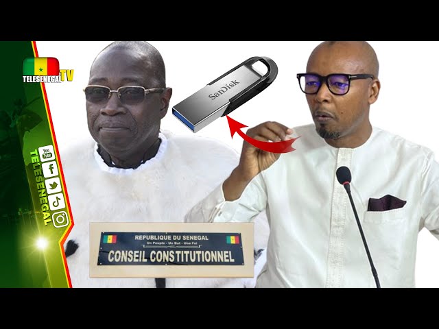 Alpha Thiam dézingue le conseil constitutionnel qui aurait saboté la vérification des clés USB