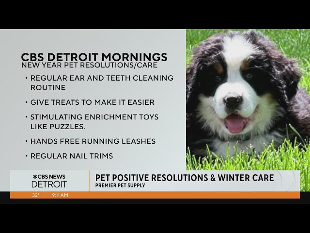 Pet positive resolutions and winter care tips