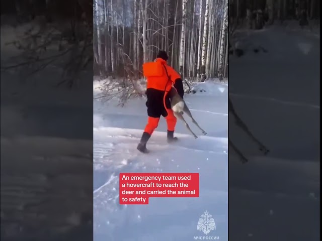 Deer rescued from frozen reservoir