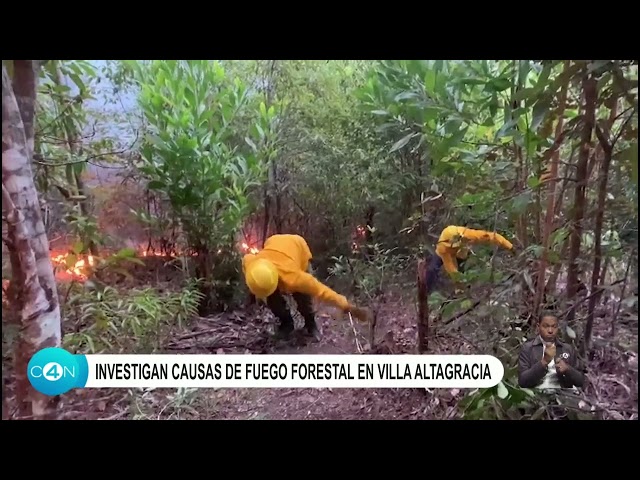 Investigan causas de fuego forestal en Villa Altagracia