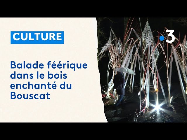 "L'hiver enchanté" : des œuvres lumineuses offrent une déambulation féerique en plein